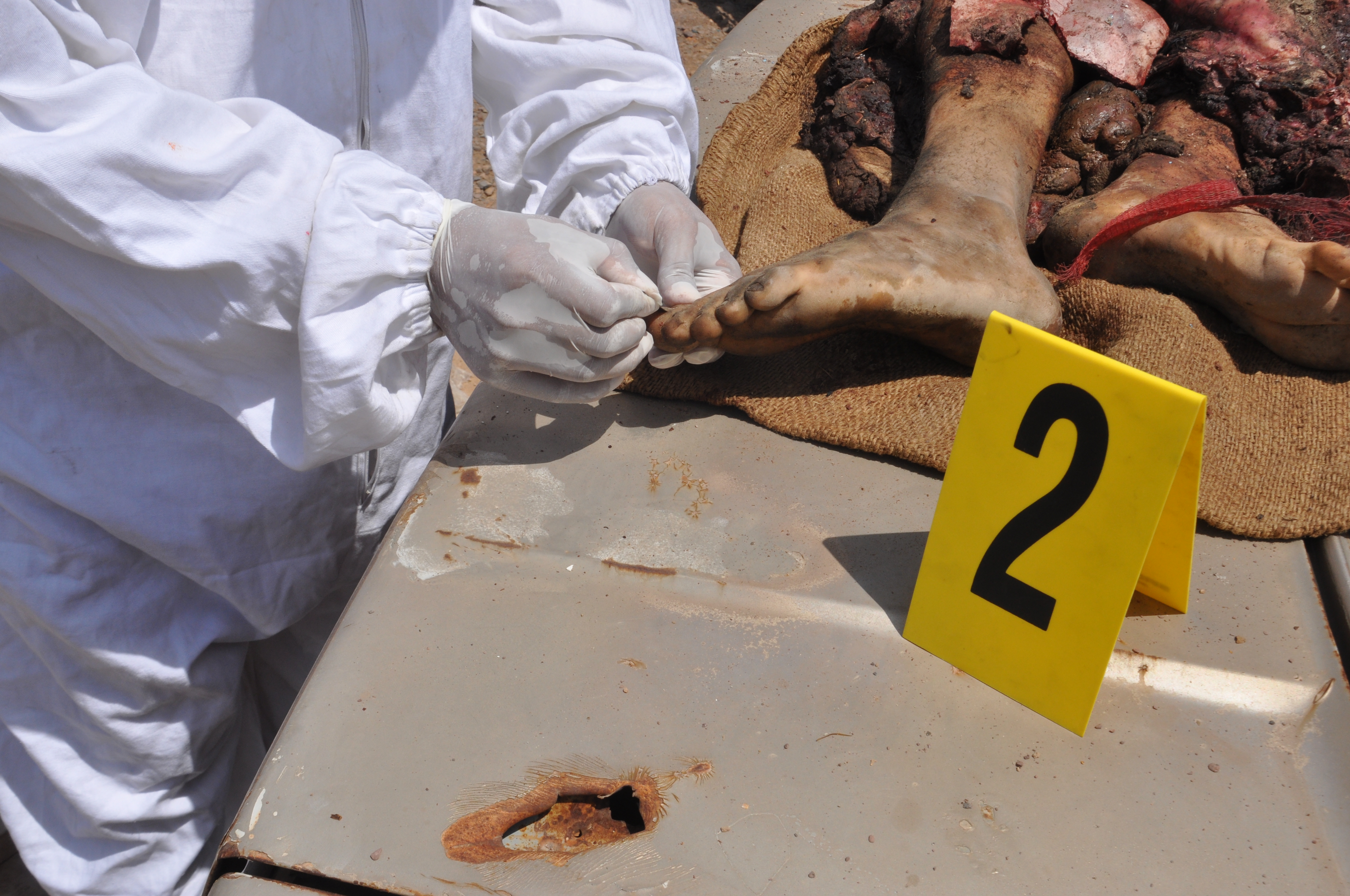 Crime Scene Investigation Unit — photo 18