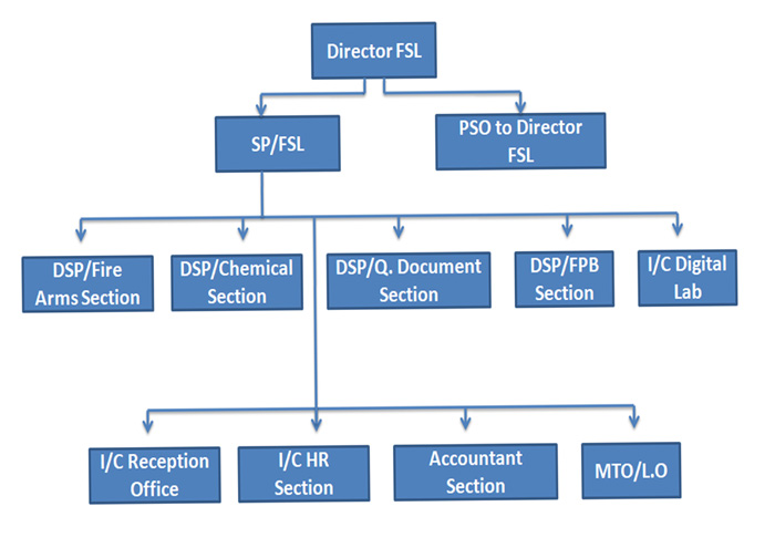 Directors — photo 2